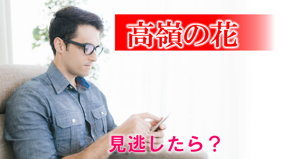 「義母と娘のブルース」1話(初回)を見逃した！無料動画を視聴する方法 再放送は？ みんなの噂話